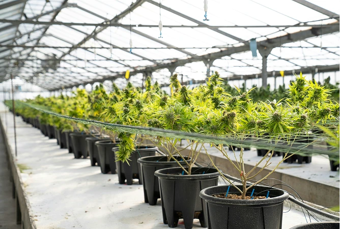 MVR & ME Evaporation Plants